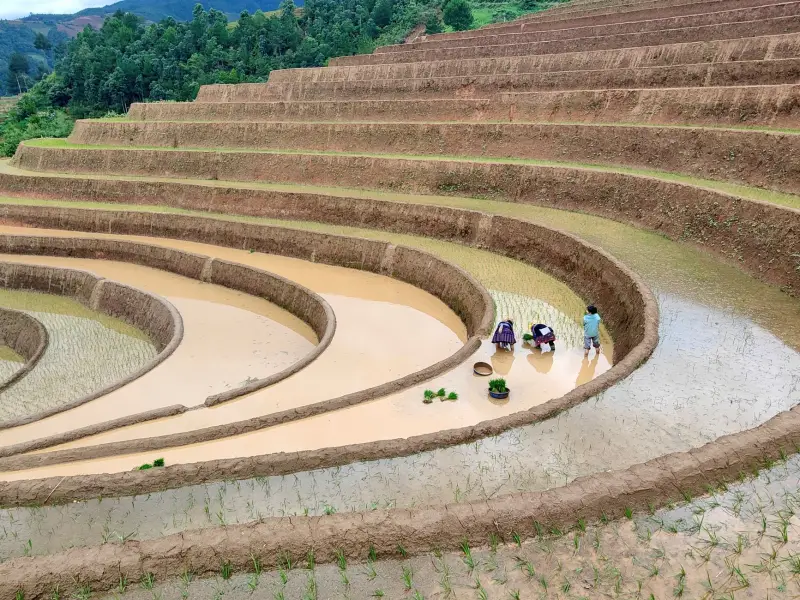 贵州穗赐农业科技:高海拔种植技术方案在西南山区的应用实践正文配图 1